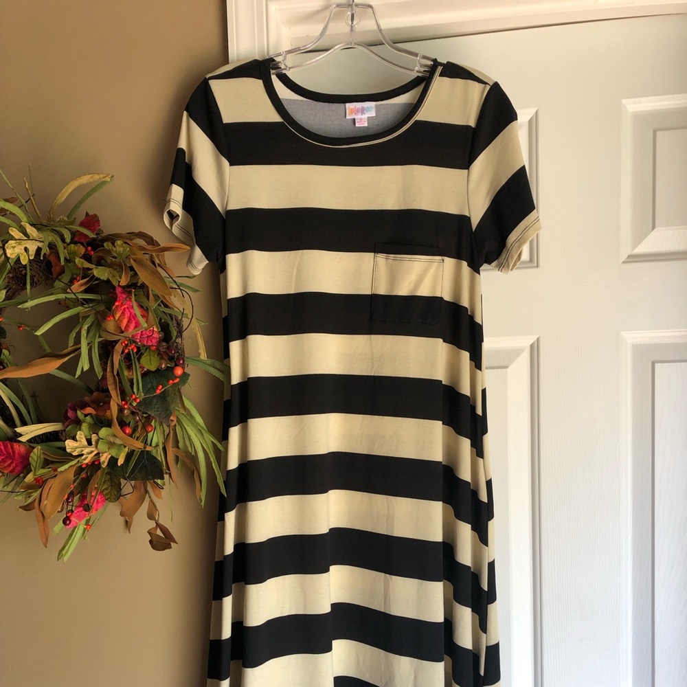 Lularoe Carly never worn